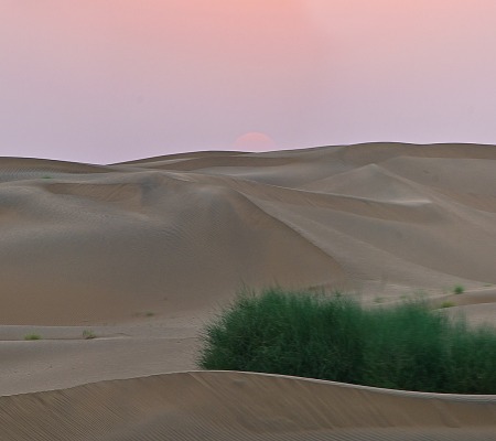 Dunes_Panorama-1