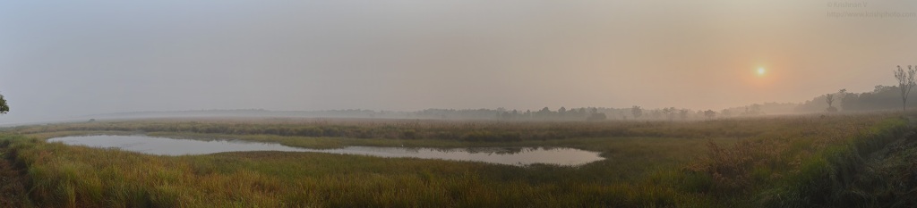 Dudhwa_Panorama-1