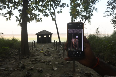 Tiger in the hide at Kishanpur lake