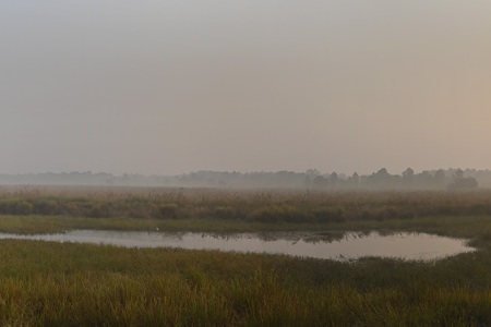 Dudhwa_Panorama-1